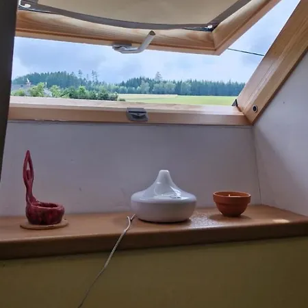 Pro 2 S Vlastni Koupelnou A Minikuchynkou * Velke Svatonovice
